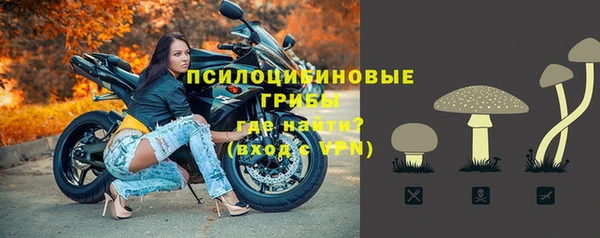 MESCALINE Бородино